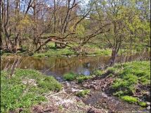 3 Flussabschnitt